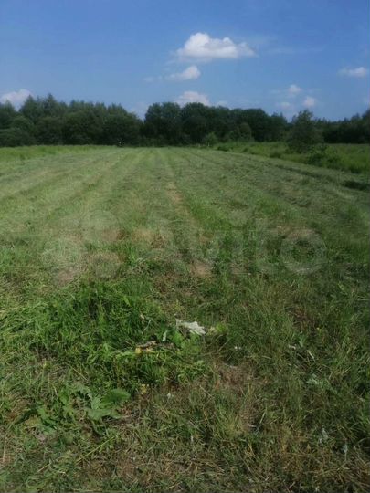 Участок 20 сот. (ИЖС)