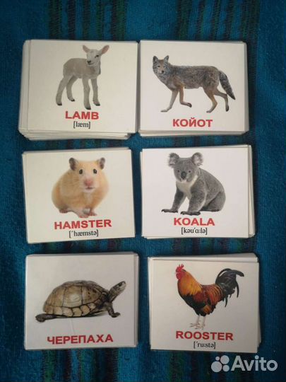 Карточки домана животные