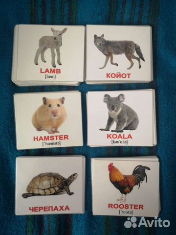 Карточки домана животные