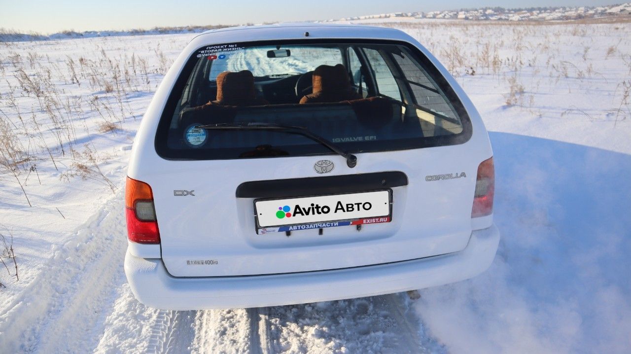 Toyota Corolla: фото владельца