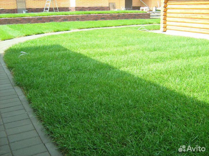 Рулонный газон, укладка рулонного газона