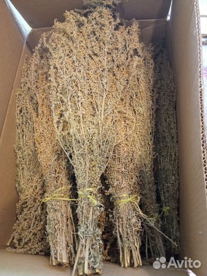 Душица сушеная