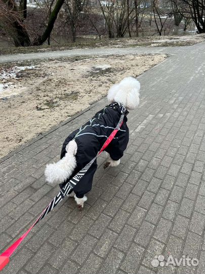 Шью на заказ,пошив одежды на заказ,шитье,портной,ш