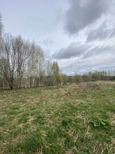 Участок 10 сот. (СНТ, ДНП)