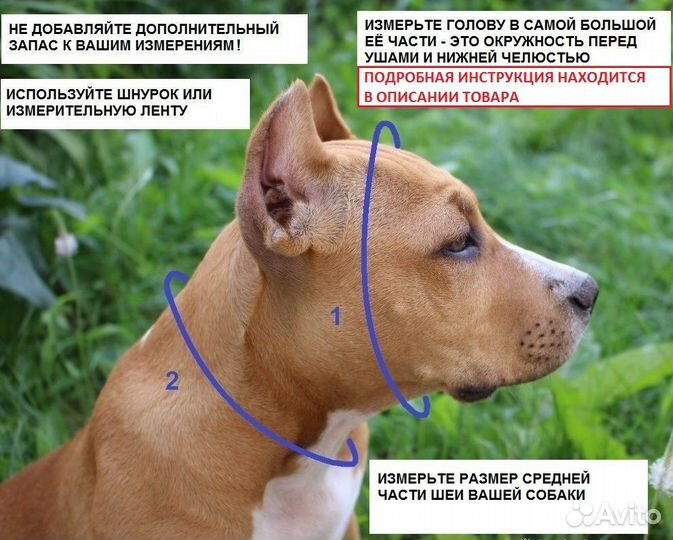 Кожаный ошейник для собак, ошейник для адресника