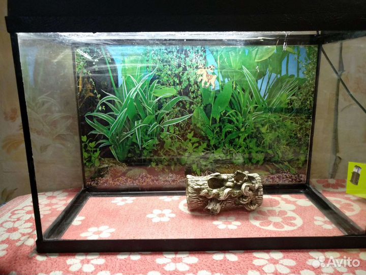 Аквариум с комплектом: компрессор, обогреватель-ав