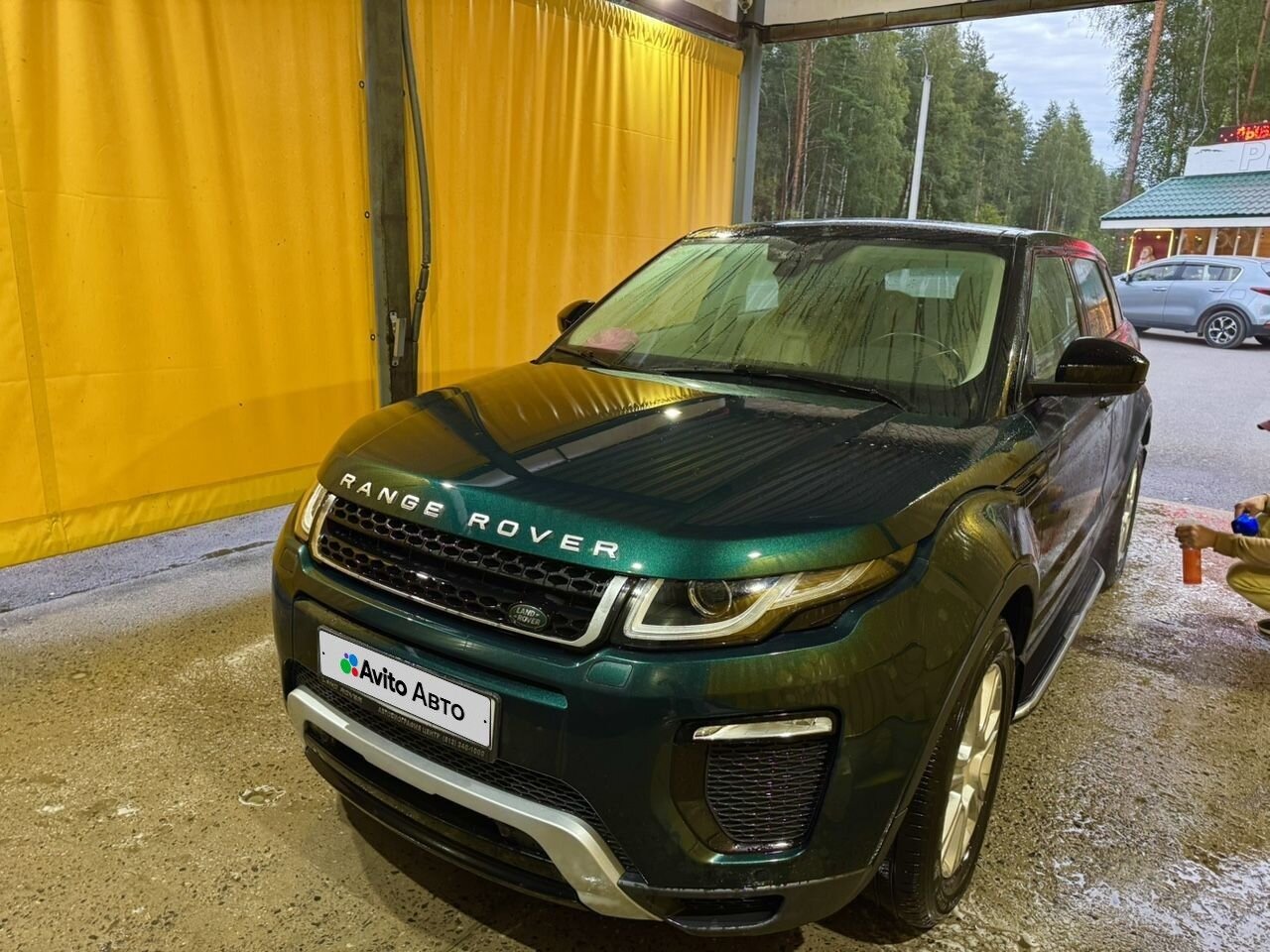 Land Rover Range Rover Evoque: фото из отзыва