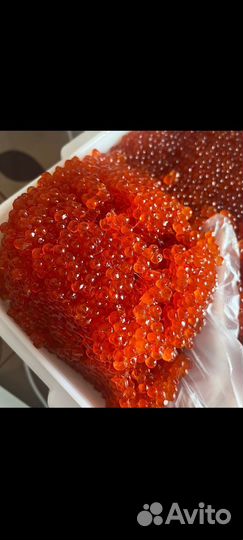 Красная икра кета 2024 хабаровский край