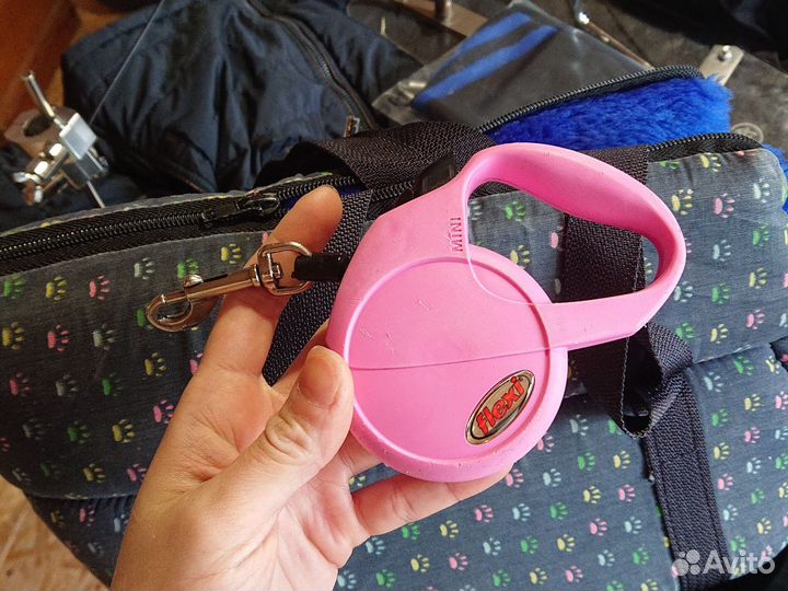 Переноска для маленьких собак, кофта и поводок