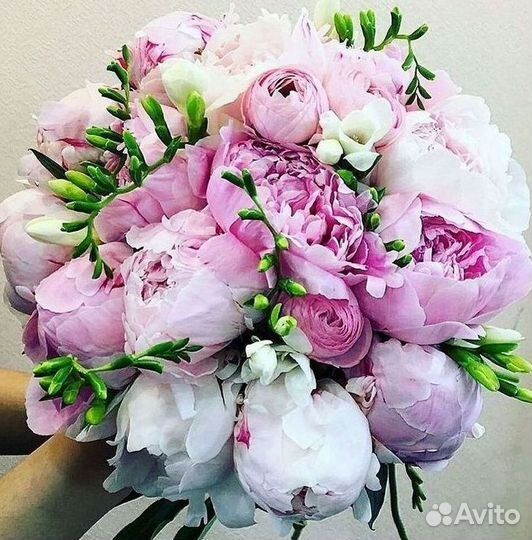 Пионы Букет пионов Доставка цветов