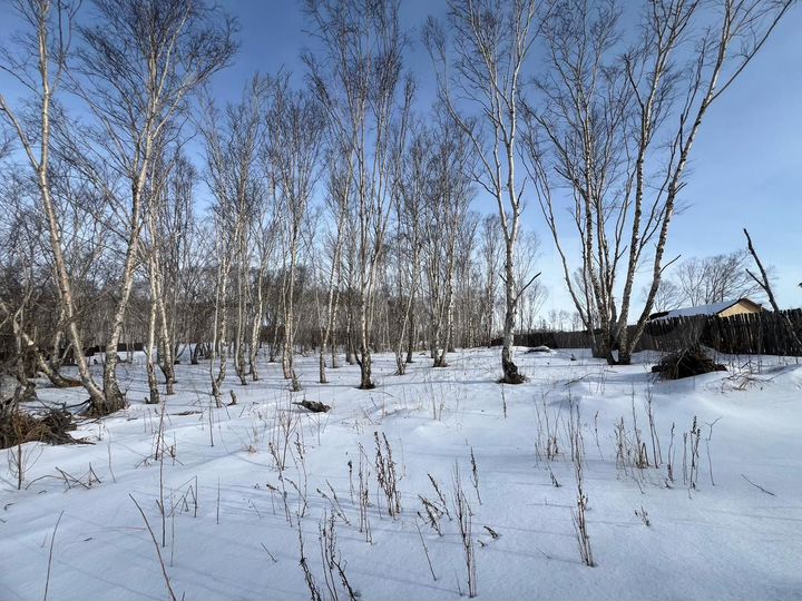 Участок 15 сот. (ИЖС)