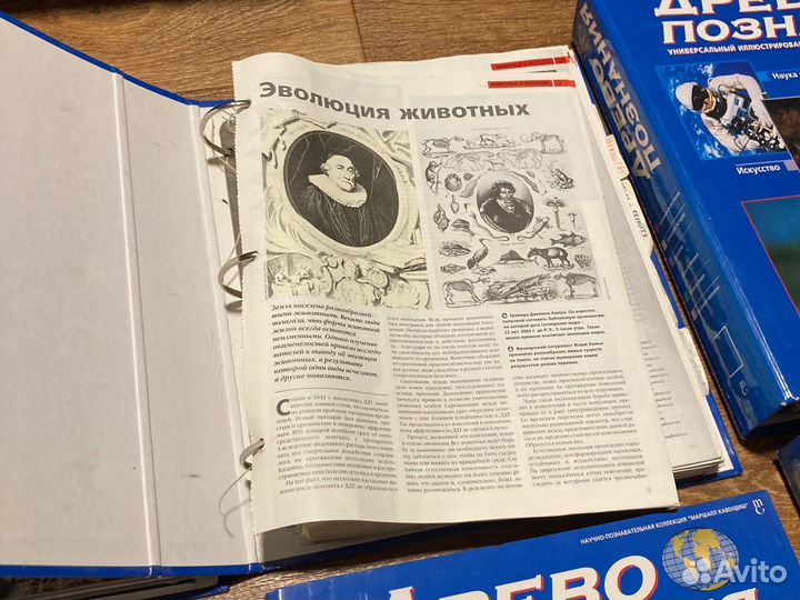 Журналы Древо познаний