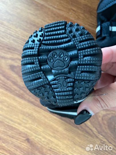 Ботинки для маленьких собак