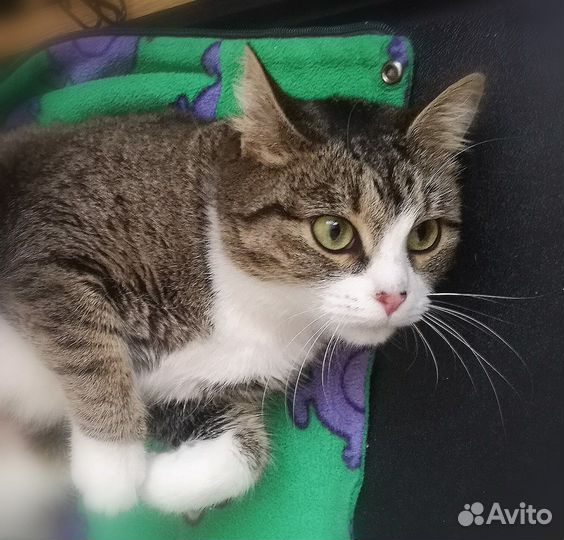 Самая милая ласкуша ждет вас