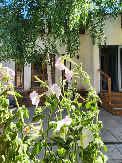 Дом 110 м² на участке 5 сот.