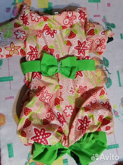 Одежда для собак