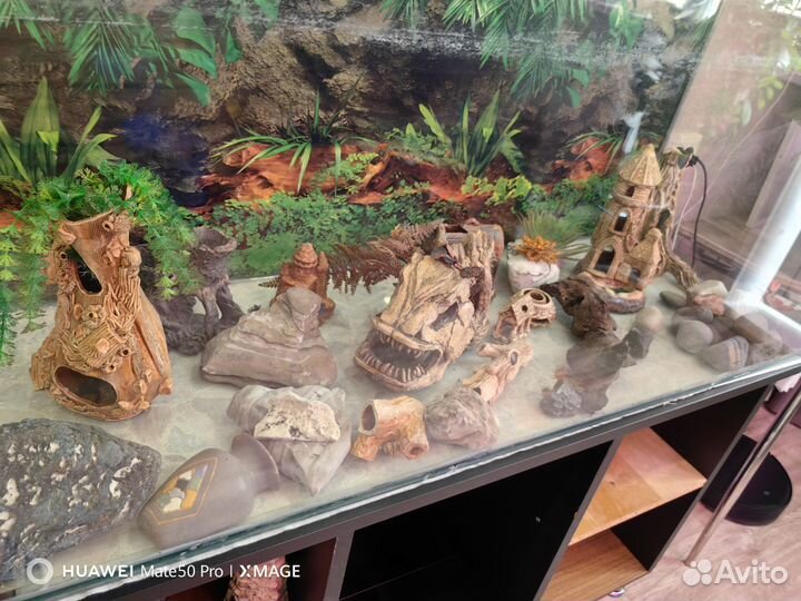 Аквариум. И украшения для аквариума