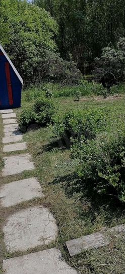 Дача 24 м² на участке 13 сот.