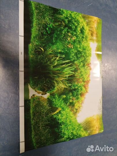 Фон для аквариума