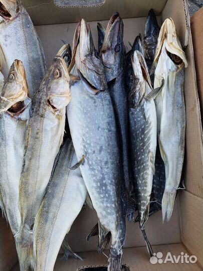 Рыба вяленая