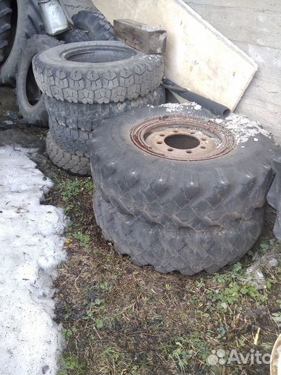 Accelera 651 2.25/4.5 R4