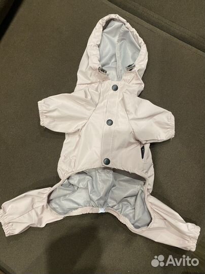 Костюм для собаки