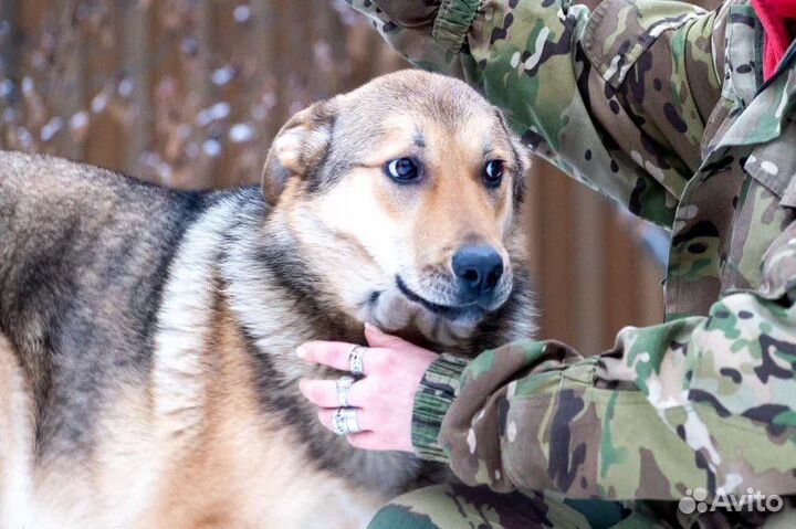 Нежный Кий ищет семью