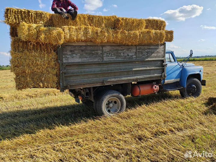 Продажа ячменная солома в тюках