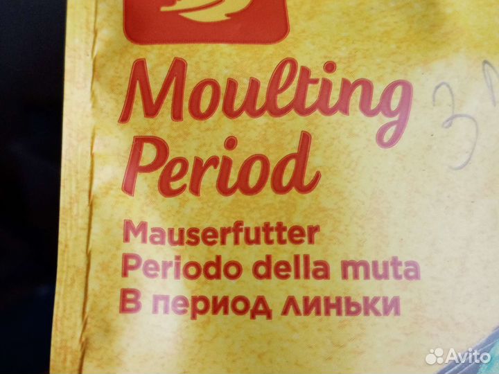 Rio-волнистые попугайчики