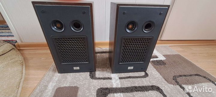 Колонки Radiotehnika 10 ас 209