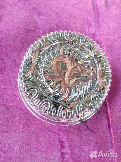 Черви для рыбалки