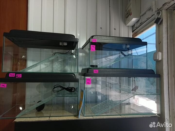 Аквариумы, терариумы от 25 литров