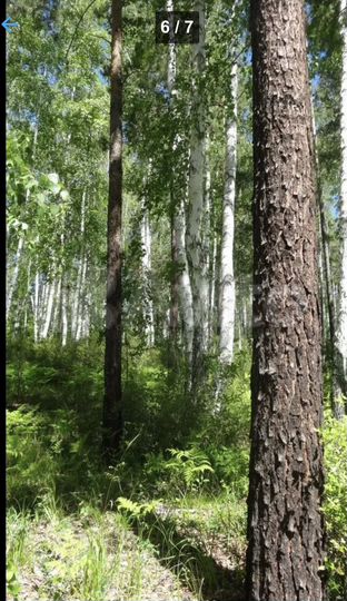 Участок 80 сот. (СНТ, ДНП)