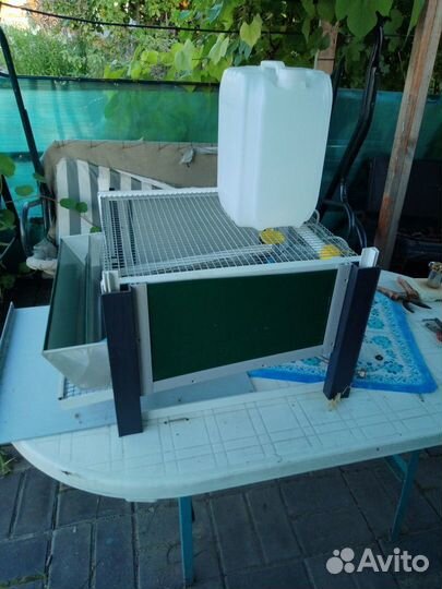 Клетки для перепелов бу