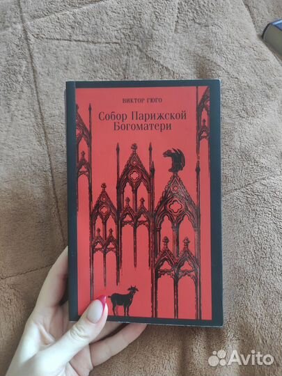 Собор Парижской Богоматери Виктор Гюго