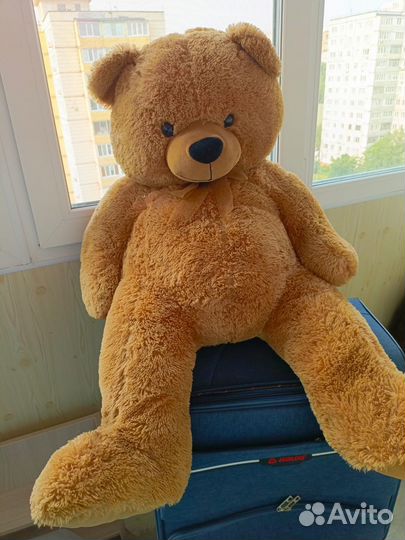 Продам плюшевого медведя