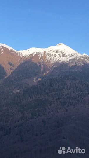 Мастер на все руки