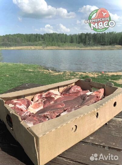 Мясо говядина