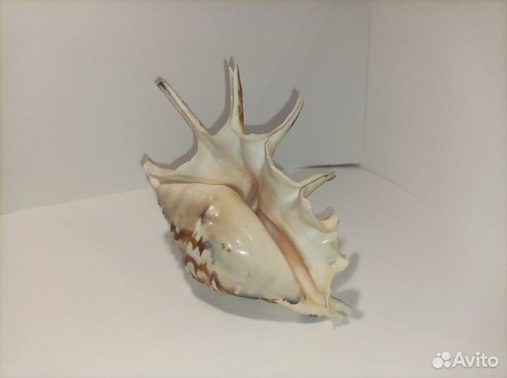 Сувениры для дома