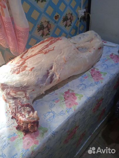 Овцы бараны баранина