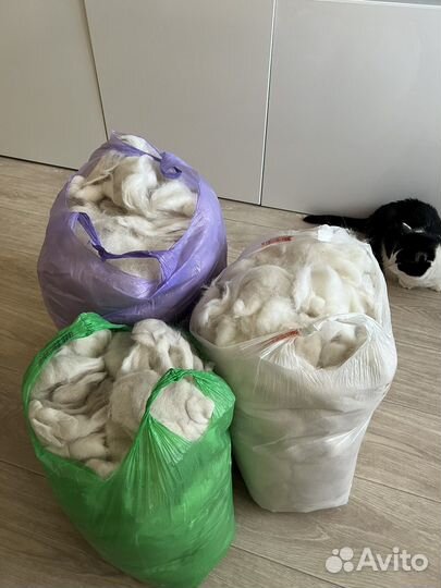 Собачья шерсть Самоеда