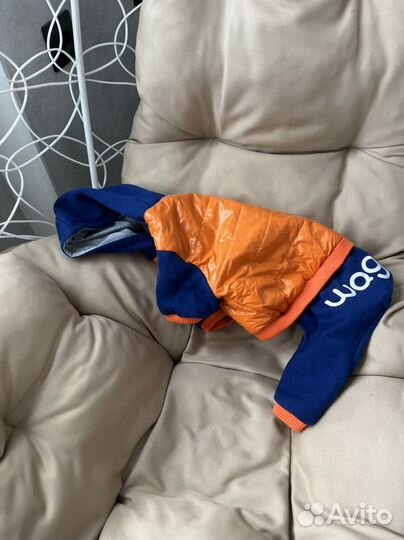 Одежда для собаки