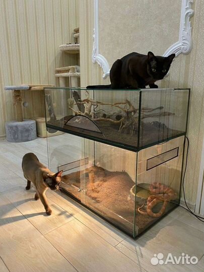 Террариум для рептилий