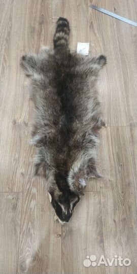 Мех енота на воротник или отделку