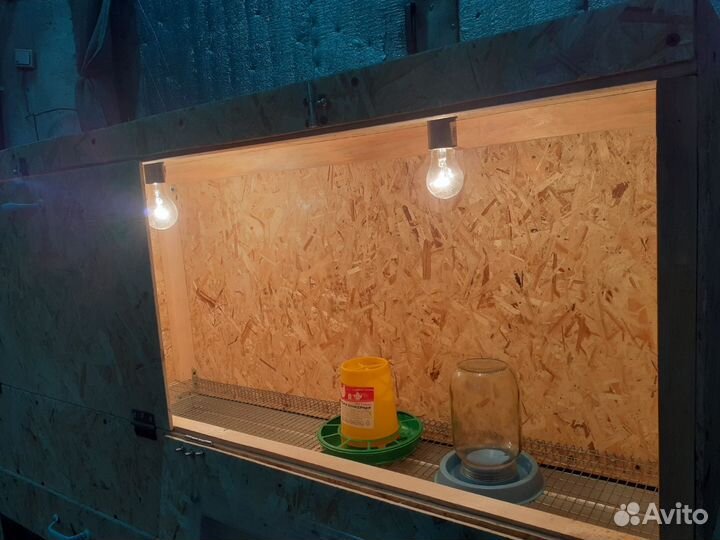 Брудер для цыплят, утят, гусят и т.д