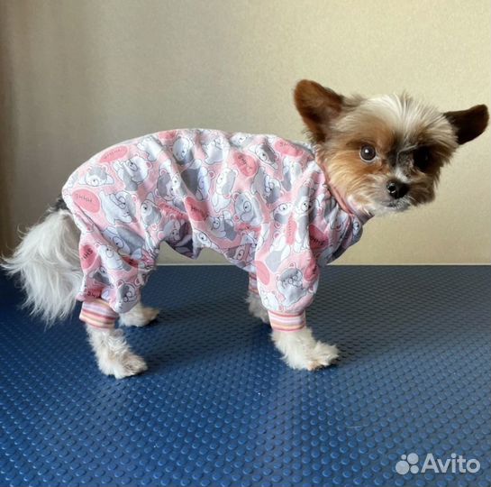 Одежда для собак. Штю на заказ