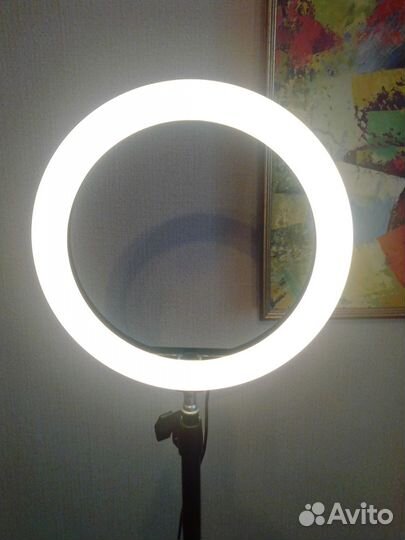 Кольцевая лампа 26 см