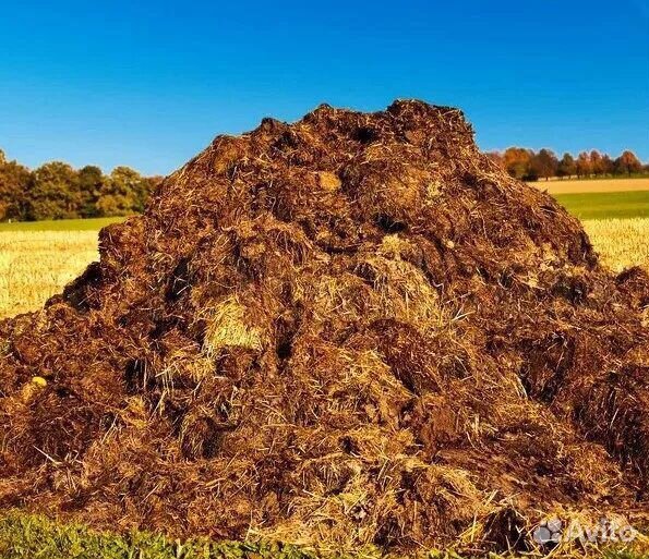 Навоз коровий