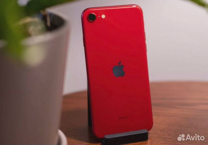 iPhone SE (2022), 256 ГБ