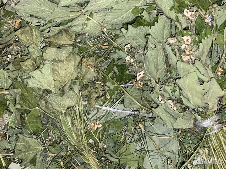 Корм для грызунов